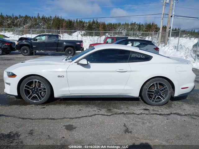 12556260 :رقم المزاد ، 1FA6P8CF5M5125739 vin ، 2021 Ford Mustang Gt مزاد بيع