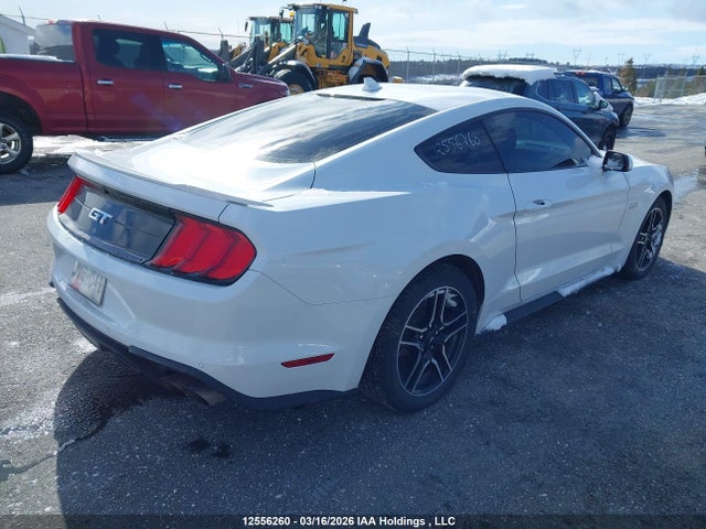 12556260 :رقم المزاد ، 1FA6P8CF5M5125739 vin ، 2021 Ford Mustang Gt مزاد بيع