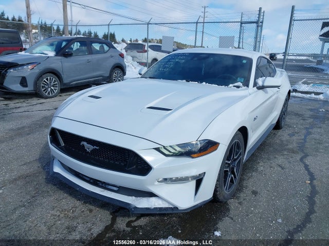 12556260 :رقم المزاد ، 1FA6P8CF5M5125739 vin ، 2021 Ford Mustang Gt مزاد بيع