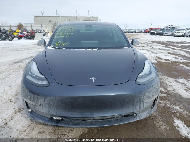 12556281 :رقم المزاد ، 5YJ3E1EB2LF800772 vin ، 2020 Tesla Model 3 Long Range مزاد بيع