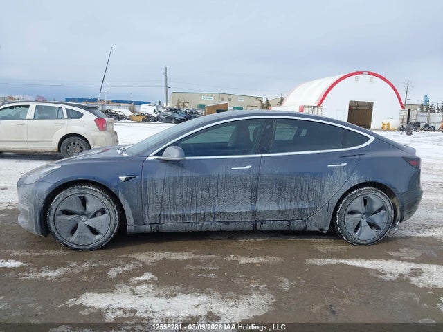 12556281 :رقم المزاد ، 5YJ3E1EB2LF800772 vin ، 2020 Tesla Model 3 Long Range مزاد بيع