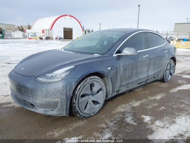 12556281 :رقم المزاد ، 5YJ3E1EB2LF800772 vin ، 2020 Tesla Model 3 Long Range مزاد بيع