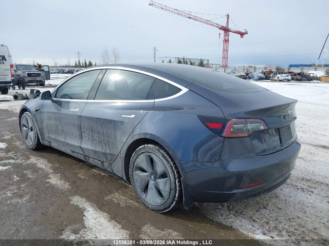 12556281 :رقم المزاد ، 5YJ3E1EB2LF800772 vin ، 2020 Tesla Model 3 Long Range مزاد بيع