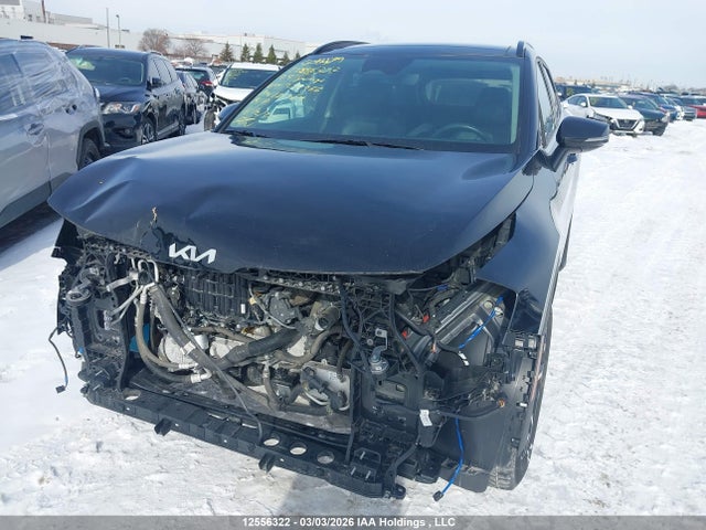 Aukcja sprzedaży 2024 Kia Sportage Ex/ex Premium W/black Interior/ex Premium W/red Interior, vin: KNDPVCDF4R7259966, numer aukcji: 12556322