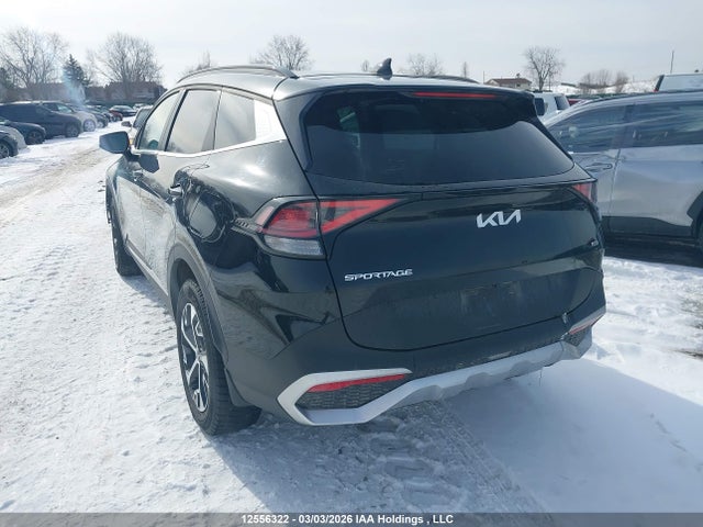 Aukcja sprzedaży 2024 Kia Sportage Ex/ex Premium W/black Interior/ex Premium W/red Interior, vin: KNDPVCDF4R7259966, numer aukcji: 12556322