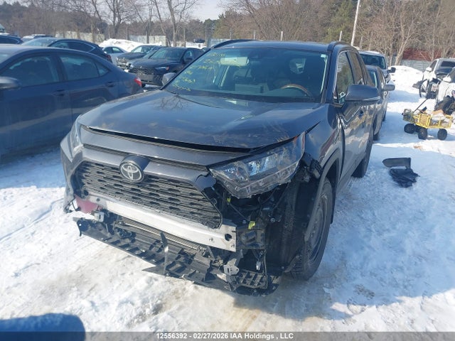 2021 Toyota Rav4 Le მანქანა იყიდება აუქციონზე, vin: 2T3B1RFV2MC180209, აუქციონის ნომერი: 12556392
