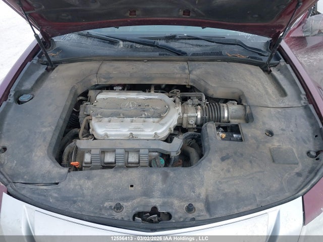Продаж на аукціоні авто 2010 Acura Tl, vin: 19UUA9F54AA801078, номер лоту: 12556413
