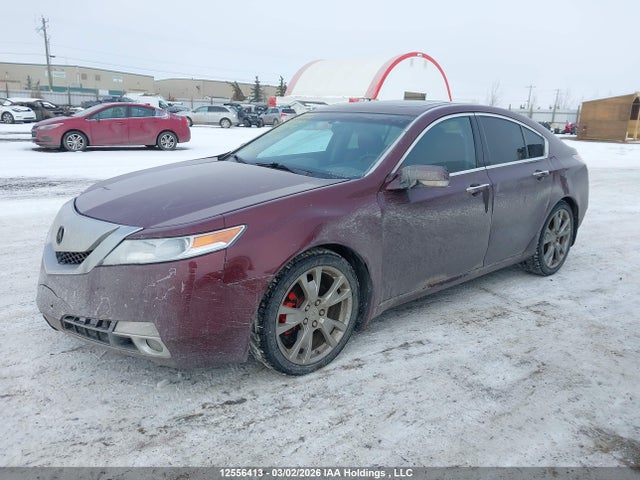 Продаж на аукціоні авто 2010 Acura Tl, vin: 19UUA9F54AA801078, номер лоту: 12556413