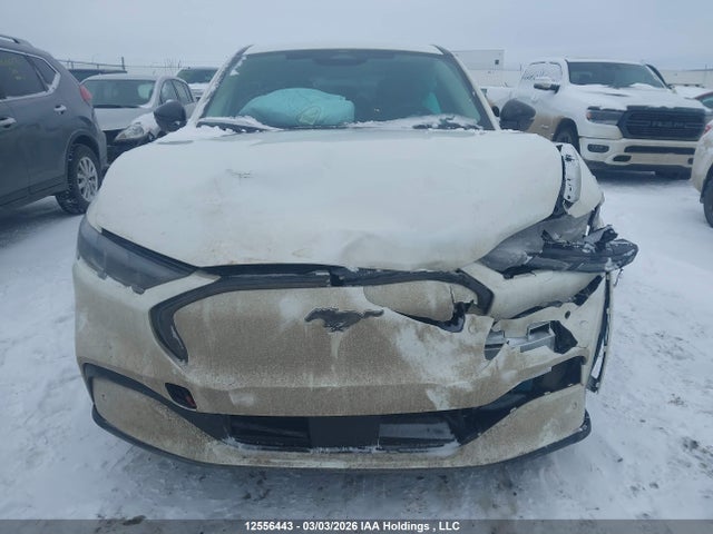 Продажа на аукционе авто 2025 Ford Mustang Mach-e Premium, vin: 3FMTK3SU7SMA14708, номер лота: 12556443