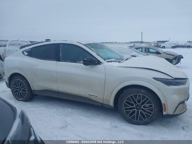 Продажа на аукционе авто 2025 Ford Mustang Mach-e Premium, vin: 3FMTK3SU7SMA14708, номер лота: 12556443