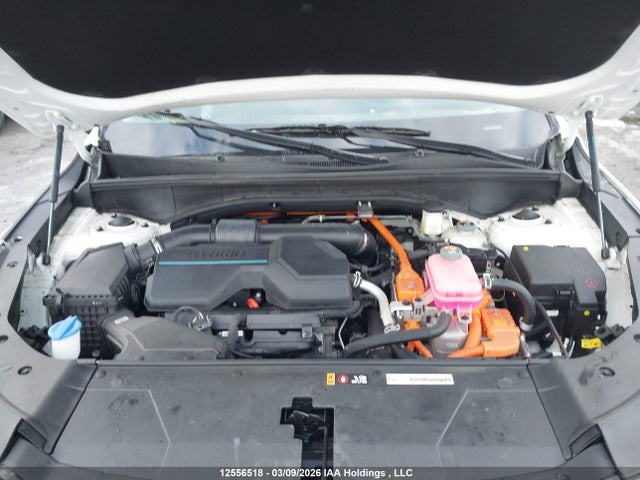 KNDRGDJG2S5343162 KIA Sorento Hev Ex
