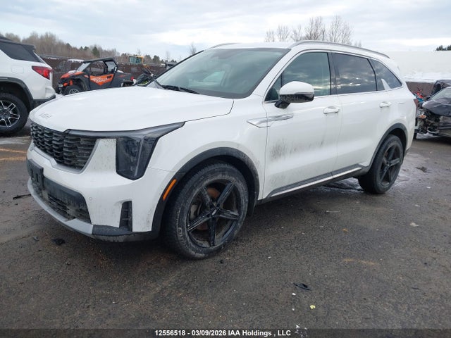 KNDRGDJG2S5343162 KIA Sorento Hev Ex