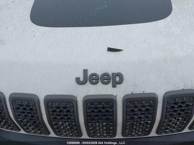 Aukcja sprzedaży 2020 Jeep Cherokee Trailhawk, vin: 1C4PJMBX7LD558096, numer aukcji: 12556558