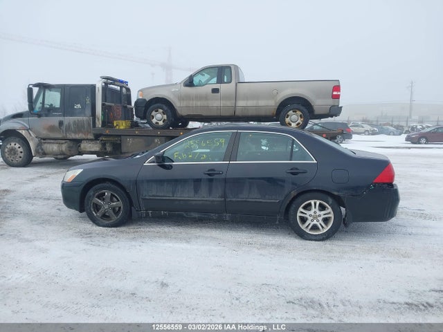 12556559 :رقم المزاد ، 1HGCM56767A803632 vin ، 2007 Honda Accord Ex-l/se مزاد بيع