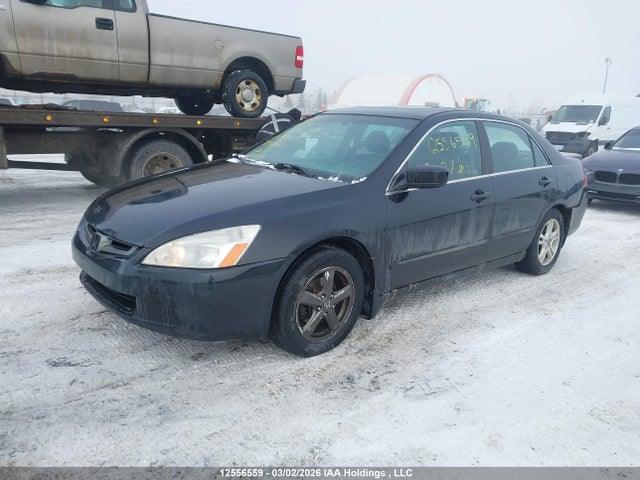 12556559 :رقم المزاد ، 1HGCM56767A803632 vin ، 2007 Honda Accord Ex-l/se مزاد بيع