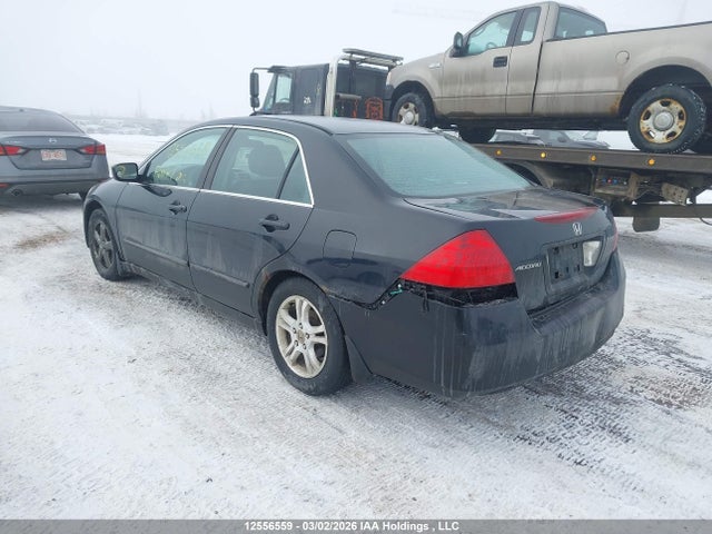 12556559 :رقم المزاد ، 1HGCM56767A803632 vin ، 2007 Honda Accord Ex-l/se مزاد بيع