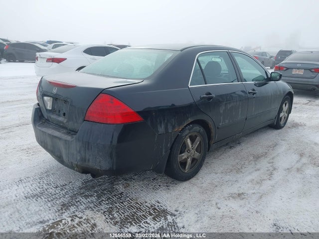 12556559 :رقم المزاد ، 1HGCM56767A803632 vin ، 2007 Honda Accord Ex-l/se مزاد بيع