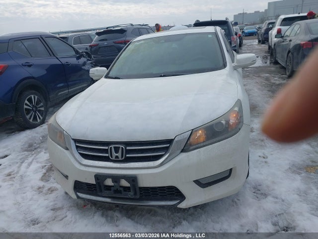 Продажа на аукционе авто 2014 Honda Accord Ex-l V6, vin: 1HGCR3F8XEA800440, номер лота: 12556563