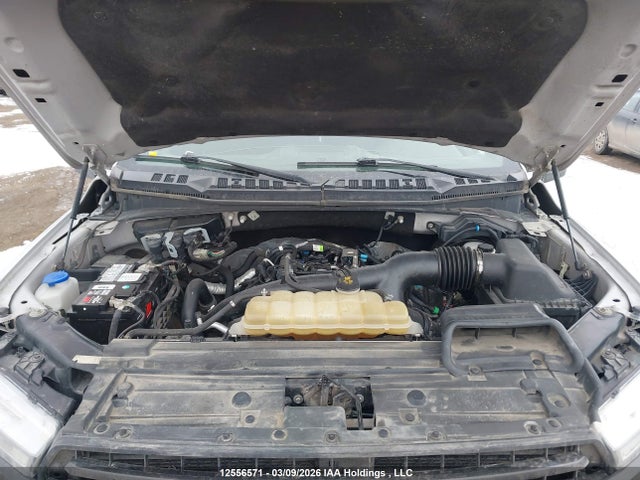 Продаж на аукціоні авто 2019 Ford F-150 Xlt, vin: 1FTEW1EPXKKC45010, номер лоту: 12556571