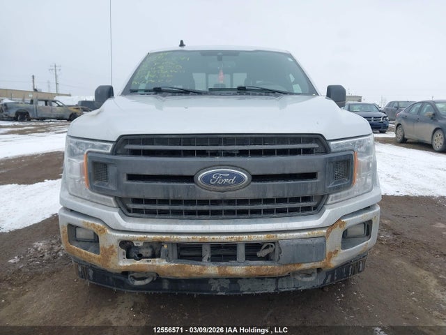 Продаж на аукціоні авто 2019 Ford F-150 Xlt, vin: 1FTEW1EPXKKC45010, номер лоту: 12556571