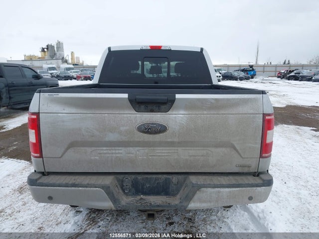 Продаж на аукціоні авто 2019 Ford F-150 Xlt, vin: 1FTEW1EPXKKC45010, номер лоту: 12556571