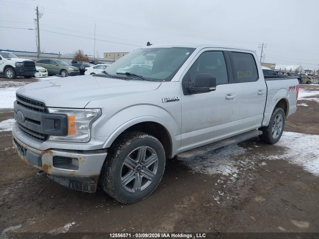 Продаж на аукціоні авто 2019 Ford F-150 Xlt, vin: 1FTEW1EPXKKC45010, номер лоту: 12556571