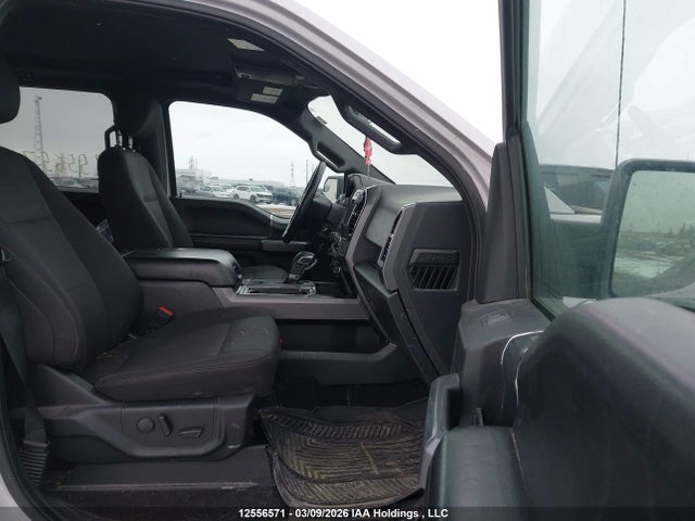 Продаж на аукціоні авто 2019 Ford F-150 Xlt, vin: 1FTEW1EPXKKC45010, номер лоту: 12556571
