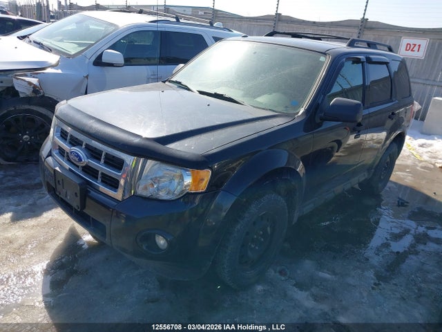 Продажа на аукционе авто 2011 Ford Escape Xlt, vin: 1FMCU9DG9BKB87089, номер лота: 12556708
