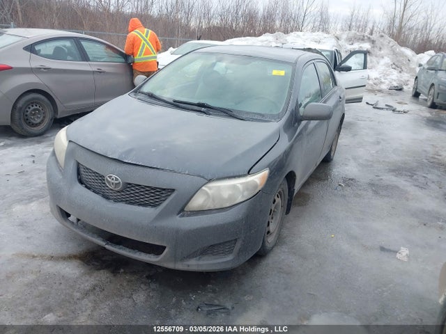 12556709 :رقم المزاد ، 2T1BU4EE4AC288508 vin ، 2010 Toyota Corolla مزاد بيع