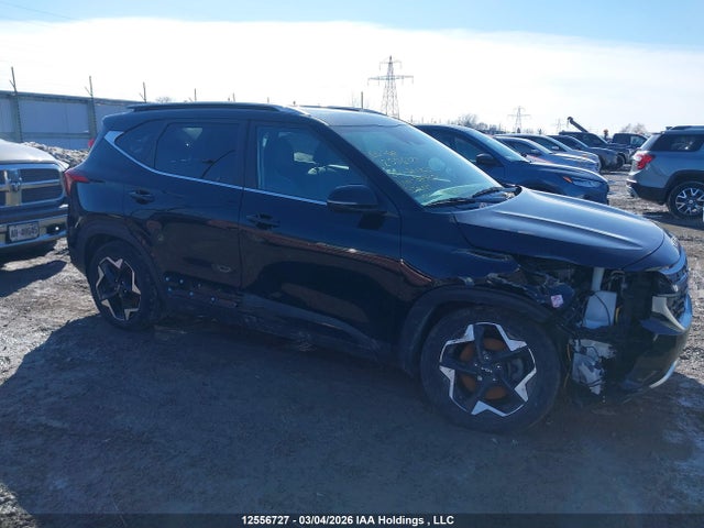 Aukcja sprzedaży 2024 Kia Seltos Ex/ex Premium, vin: KNDERCAA0R7589351, numer aukcji: 12556727