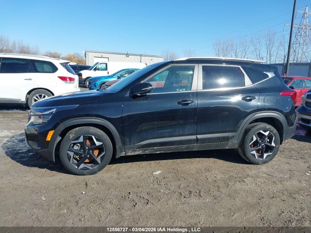 Aukcja sprzedaży 2024 Kia Seltos Ex/ex Premium, vin: KNDERCAA0R7589351, numer aukcji: 12556727