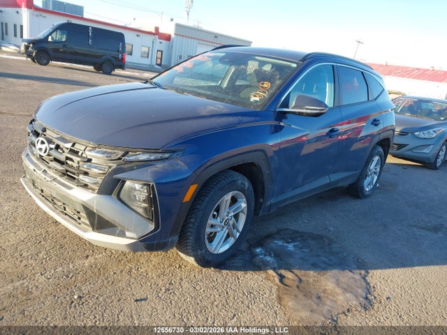 Продаж на аукціоні авто 2025 Hyundai Tucson Sel, vin: 5NMJBCDEXSH532364, номер лоту: 12556730