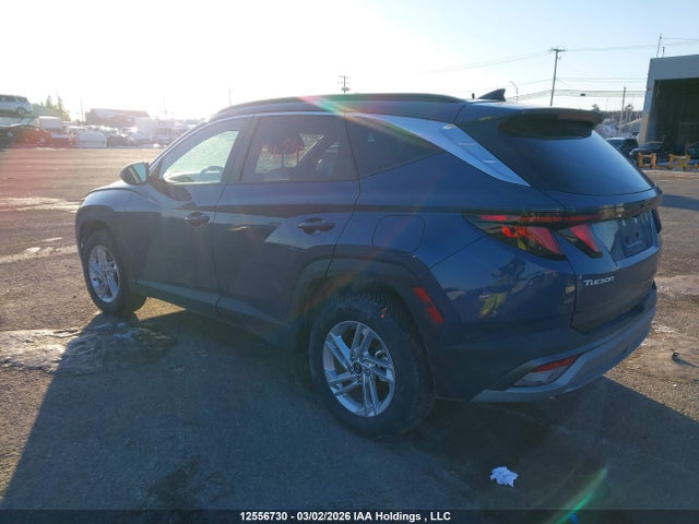 Продаж на аукціоні авто 2025 Hyundai Tucson Sel, vin: 5NMJBCDEXSH532364, номер лоту: 12556730