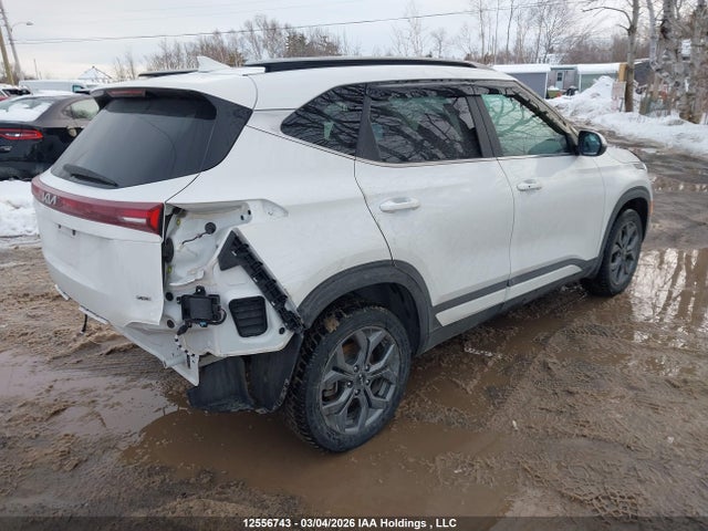 Aukcja sprzedaży 2024 Kia Seltos Ex, vin: KNDEUCAA0R7587517, numer aukcji: 12556743