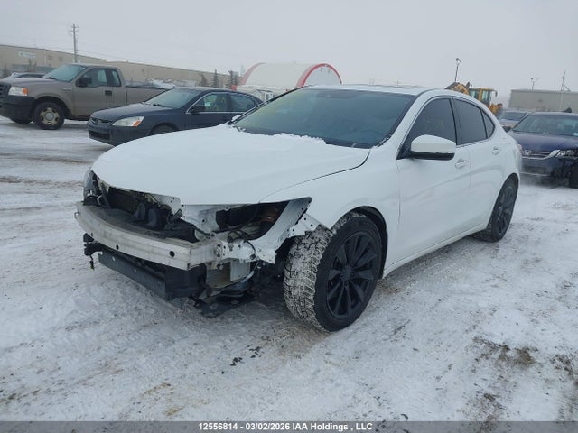 19UUB1F57FA801095 Acura TLX TECH