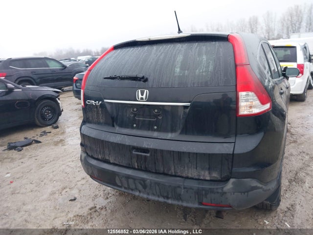 12556852 :رقم المزاد ، 2HKRM3H35CH000336 vin ، 2012 Honda Cr-v Lx مزاد بيع
