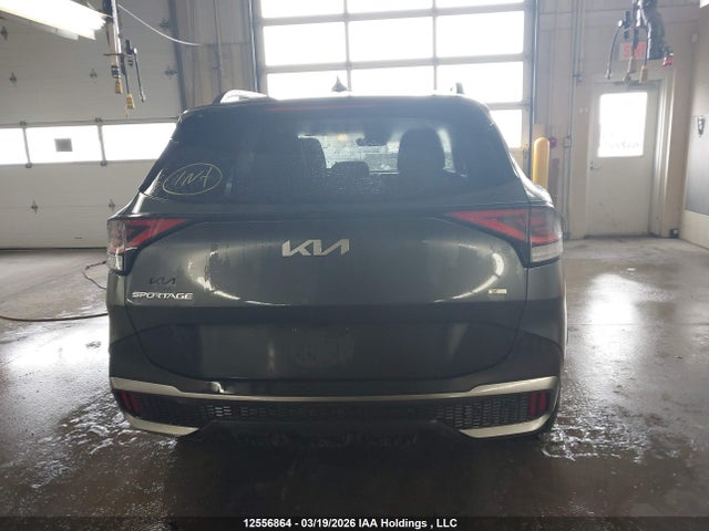 Продажа на аукционе авто 2023 Kia Sportage X Line Limited, vin: KNDPXCAF4P7046883, номер лота: 12556864