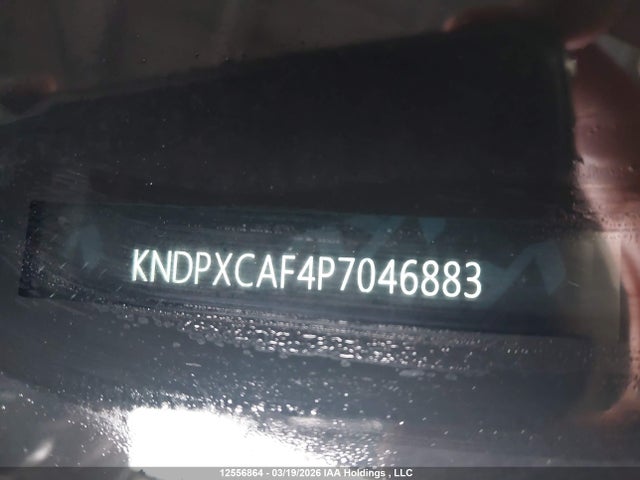 Продажа на аукционе авто 2023 Kia Sportage X Line Limited, vin: KNDPXCAF4P7046883, номер лота: 12556864