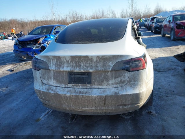 Aukcja sprzedaży 2021 Tesla Model 3 Standard Range/standard Range Plus, vin: 5YJ3E1EA7MF048673, numer aukcji: 12556902