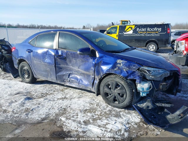 Продаж на аукціоні авто 2017 Toyota Corolla Se, vin: 2T1BURHE6HC757309, номер лоту: 12556920