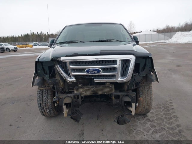 12556975 :رقم المزاد ، 1FTPW14V27KC98493 vin ، 2007 Ford F150 Supercrew مزاد بيع