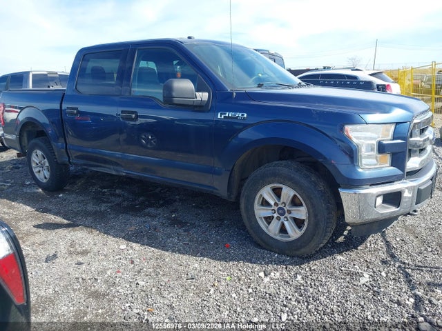 Продаж на аукціоні авто 2016 Ford F-150 Xlt, vin: 1FTEW1E87GFB16344, номер лоту: 12556976