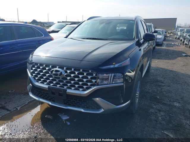 Aukcja sprzedaży 2023 Hyundai Santa Fe Preferred Awd, vin: 5NMS3DAJXPH612344, numer aukcji: 12556988