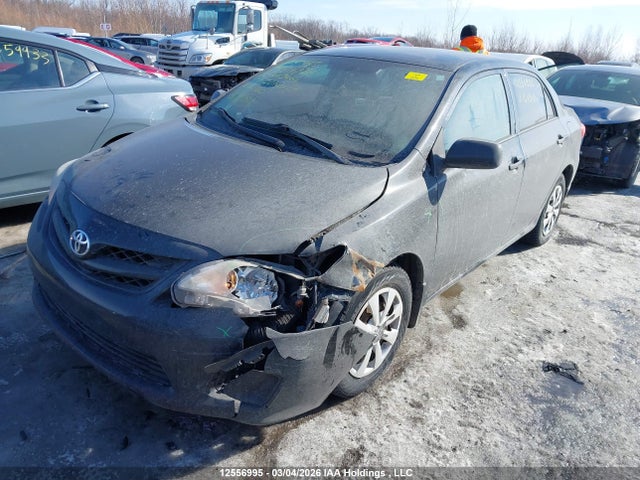 12556995 :رقم المزاد ، 2T1BU4EE6BC649464 vin ، 2011 Toyota Corolla مزاد بيع