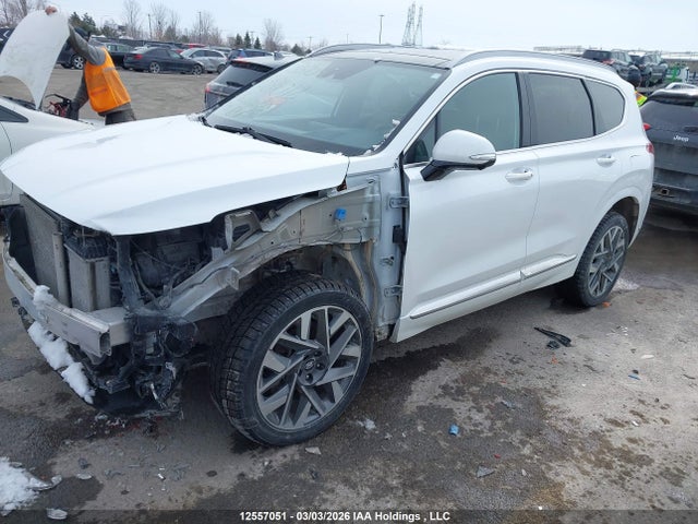 Продаж на аукціоні авто 2022 Hyundai Santa Fe Ultimate Calligraphy, vin: 5NMS5DAL4NH384012, номер лоту: 12557051