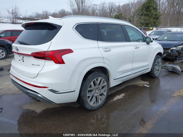 Продаж на аукціоні авто 2022 Hyundai Santa Fe Ultimate Calligraphy, vin: 5NMS5DAL4NH384012, номер лоту: 12557051