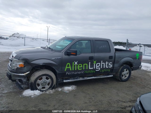 Продажа на аукционе авто 2013 Ford F-150 Xlt, vin: 1FTFW1EF1DFC14560, номер лота: 12557122