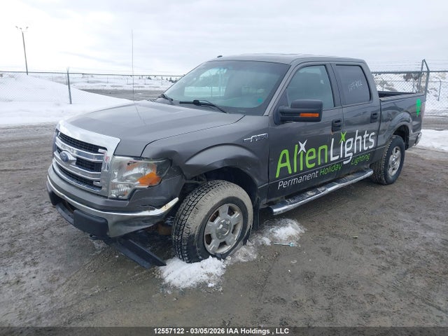 Продажа на аукционе авто 2013 Ford F-150 Xlt, vin: 1FTFW1EF1DFC14560, номер лота: 12557122