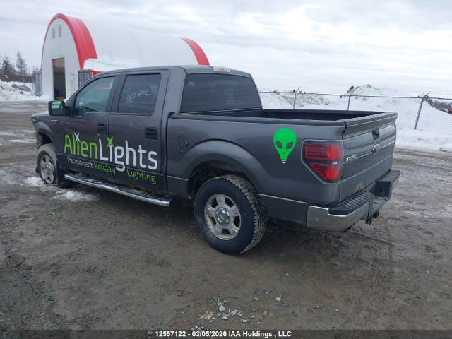 Продажа на аукционе авто 2013 Ford F-150 Xlt, vin: 1FTFW1EF1DFC14560, номер лота: 12557122