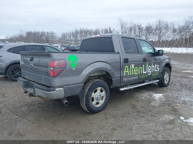 Продажа на аукционе авто 2013 Ford F-150 Xlt, vin: 1FTFW1EF1DFC14560, номер лота: 12557122